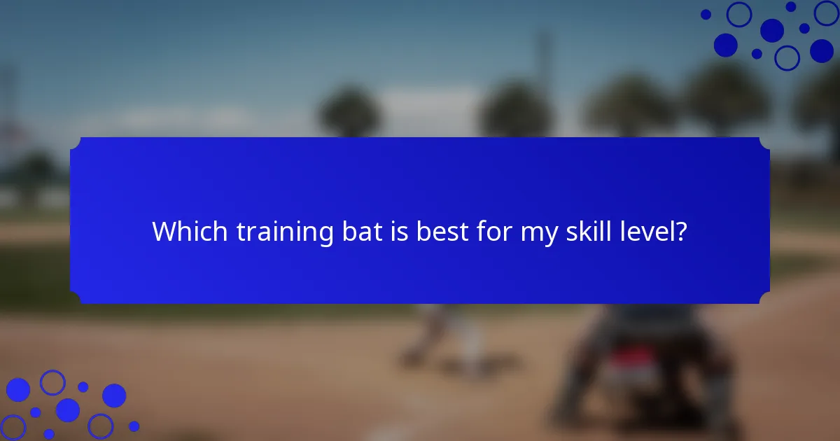 Which training bat is best for my skill level?